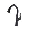 Dual Function Sprayhead Single Handle Pull Down Kitchen Faucet Oil Rubbed Bronze