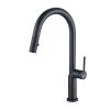 Spring Kitchen Sink Faucet Pull Down Sprayer Matte Black