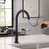 Spring Kitchen Sink Faucet Pull Down Sprayer Matte Black