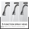 APPASO Pull Down Kitchen Faucet with Sprayer Stainless Steel - Single Handle Commercial High Arc Pull Out Spray Head Kitchen Sink Faucets with Deck Pl