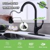 APPASO Pull Down Kitchen Faucet with Sprayer Stainless Steel - Single Handle Commercial High Arc Pull Out Spray Head Kitchen Sink Faucets with Deck Pl