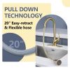 APPASO Pull Down Kitchen Faucet with Sprayer Stainless Steel - Single Handle Commercial High Arc Pull Out Spray Head Kitchen Sink Faucets with Deck Pl