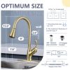 APPASO Pull Down Kitchen Faucet with Sprayer Stainless Steel - Single Handle Commercial High Arc Pull Out Spray Head Kitchen Sink Faucets with Deck Pl